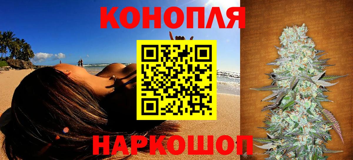 Канабис сатива Дубна